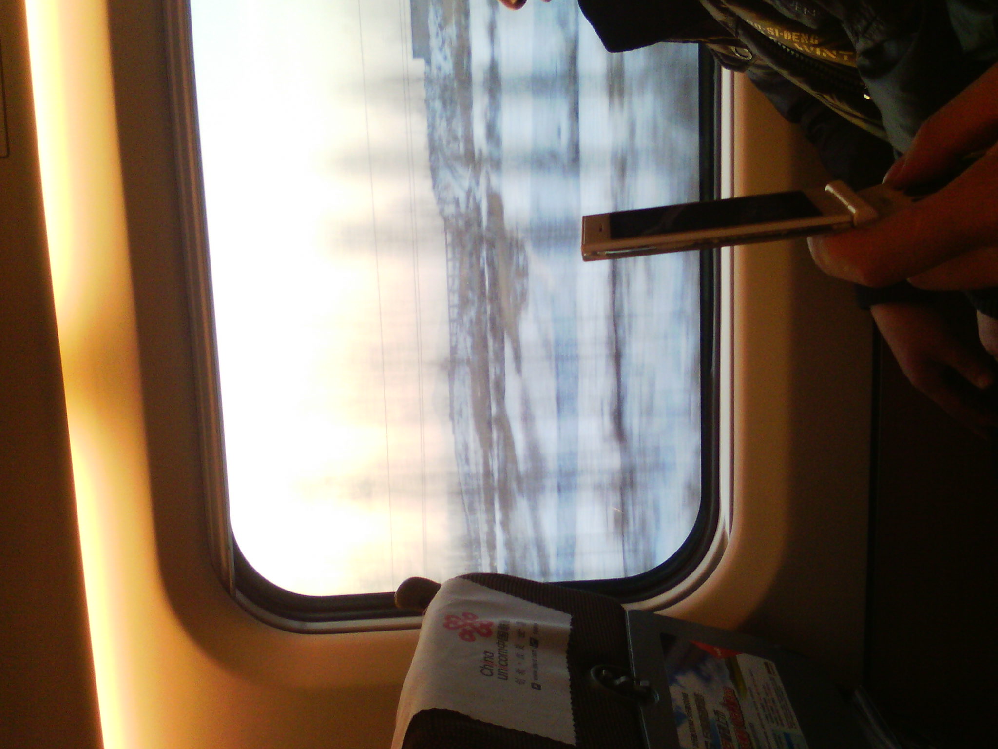 IMG_20121231_075049_02.jpg