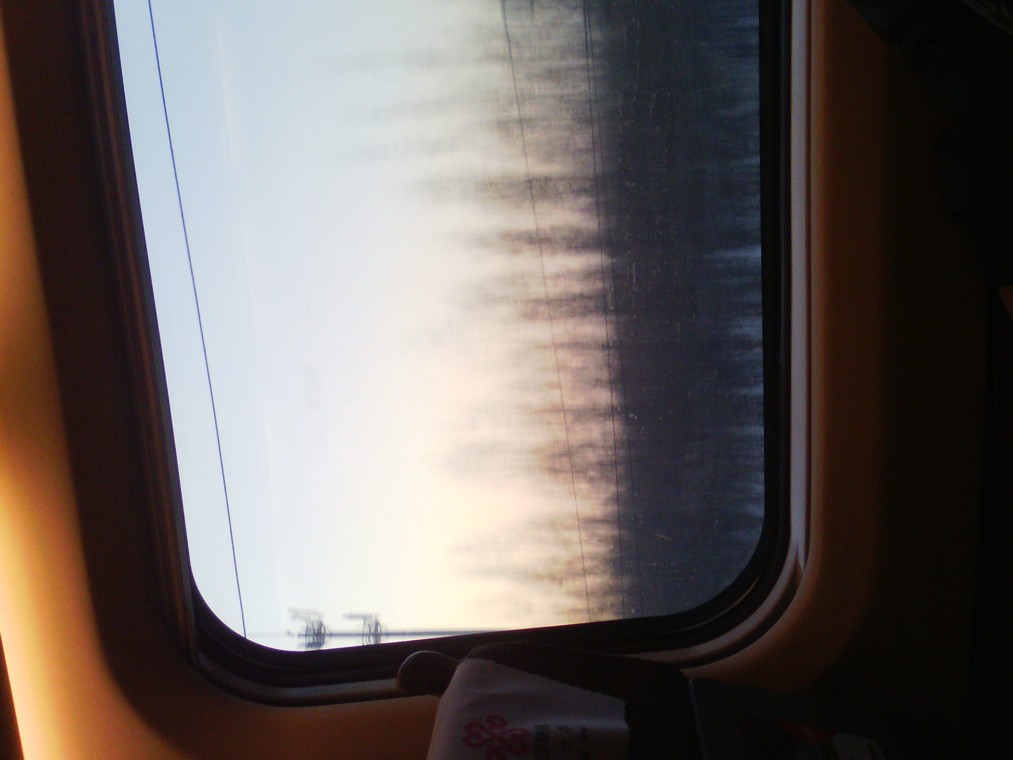 IMG_20121231_075112_03.jpg