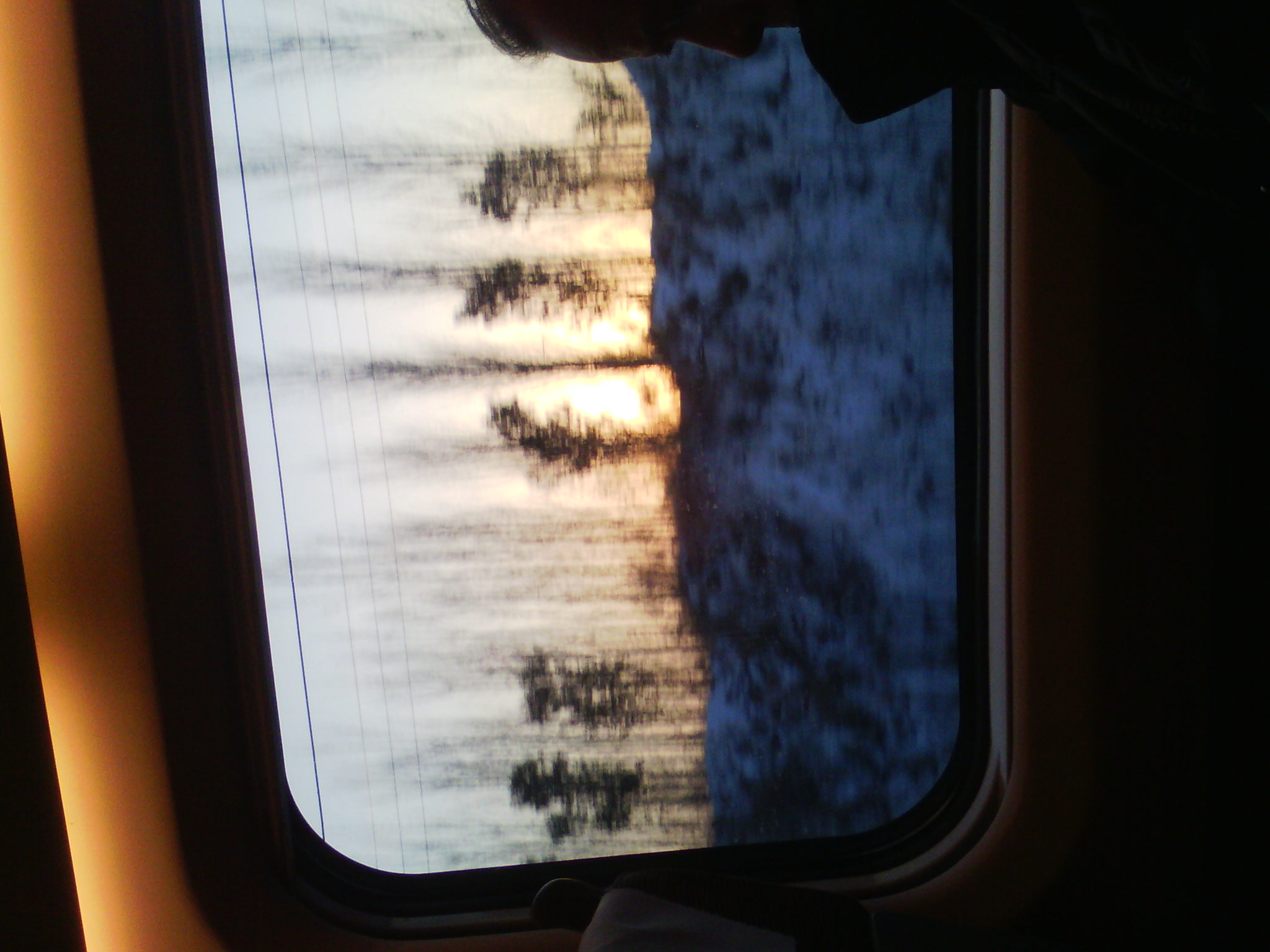 IMG_20121231_075145_01.jpg