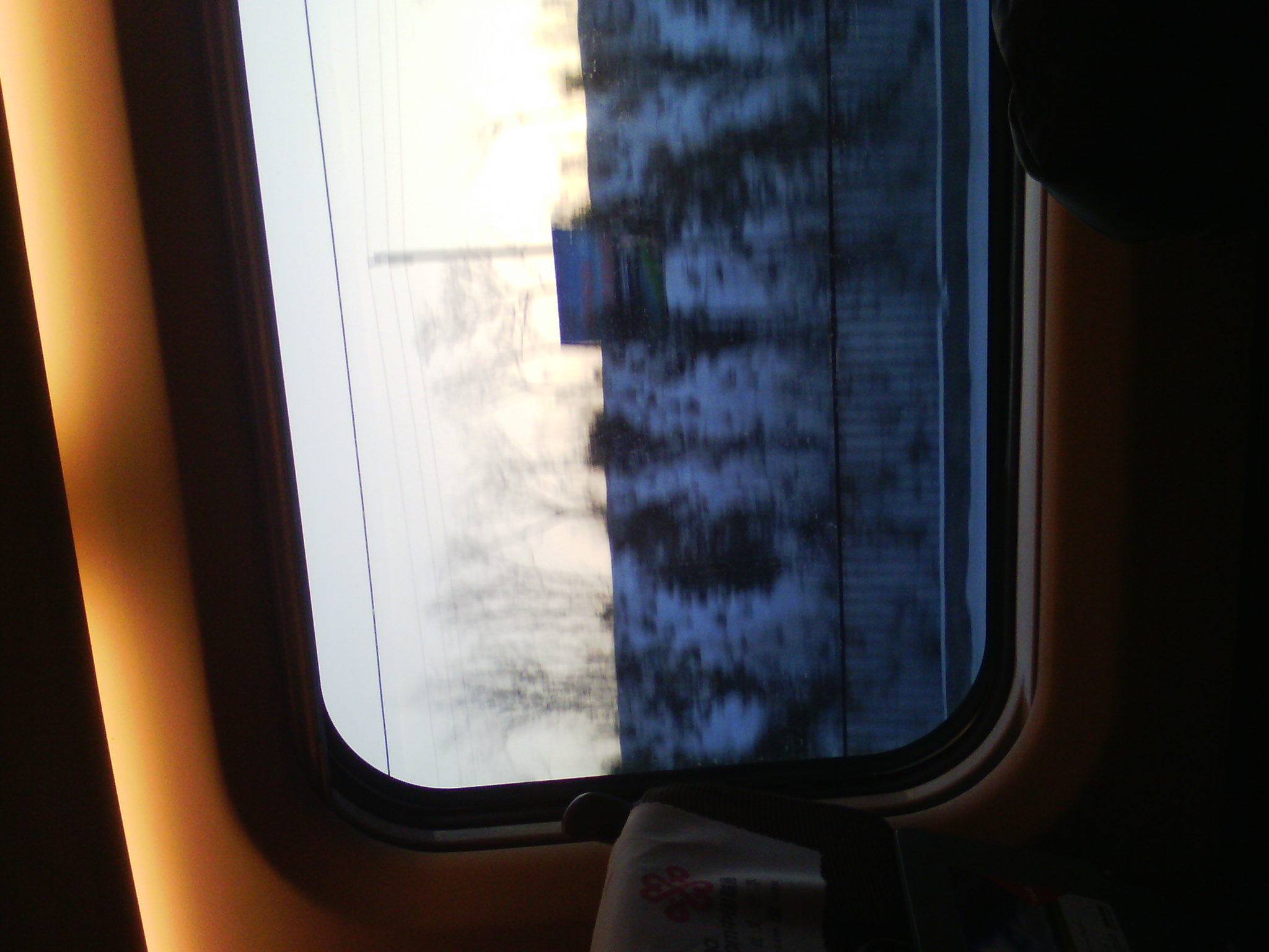 IMG_20121231_075152_01.jpg