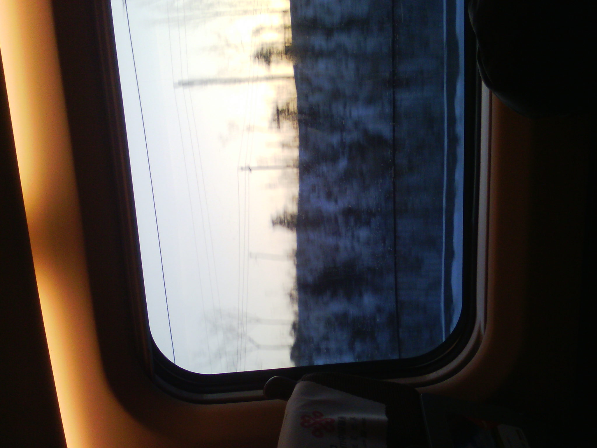 IMG_20121231_075152_03.jpg