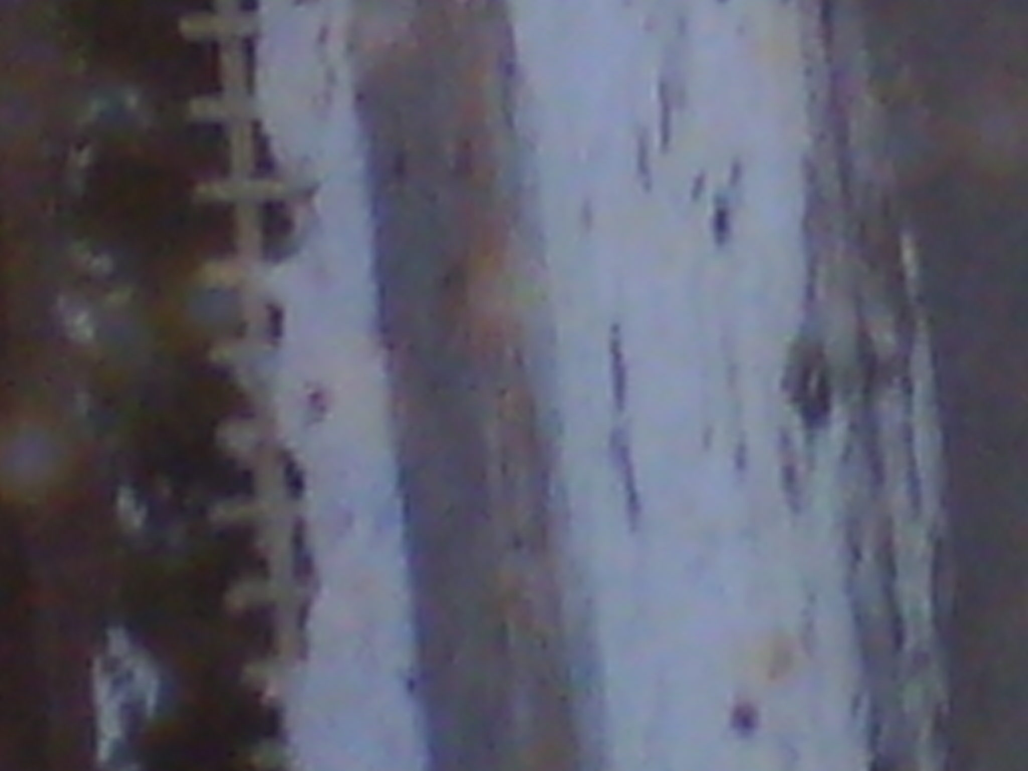 IMG_20121231_082225.jpg