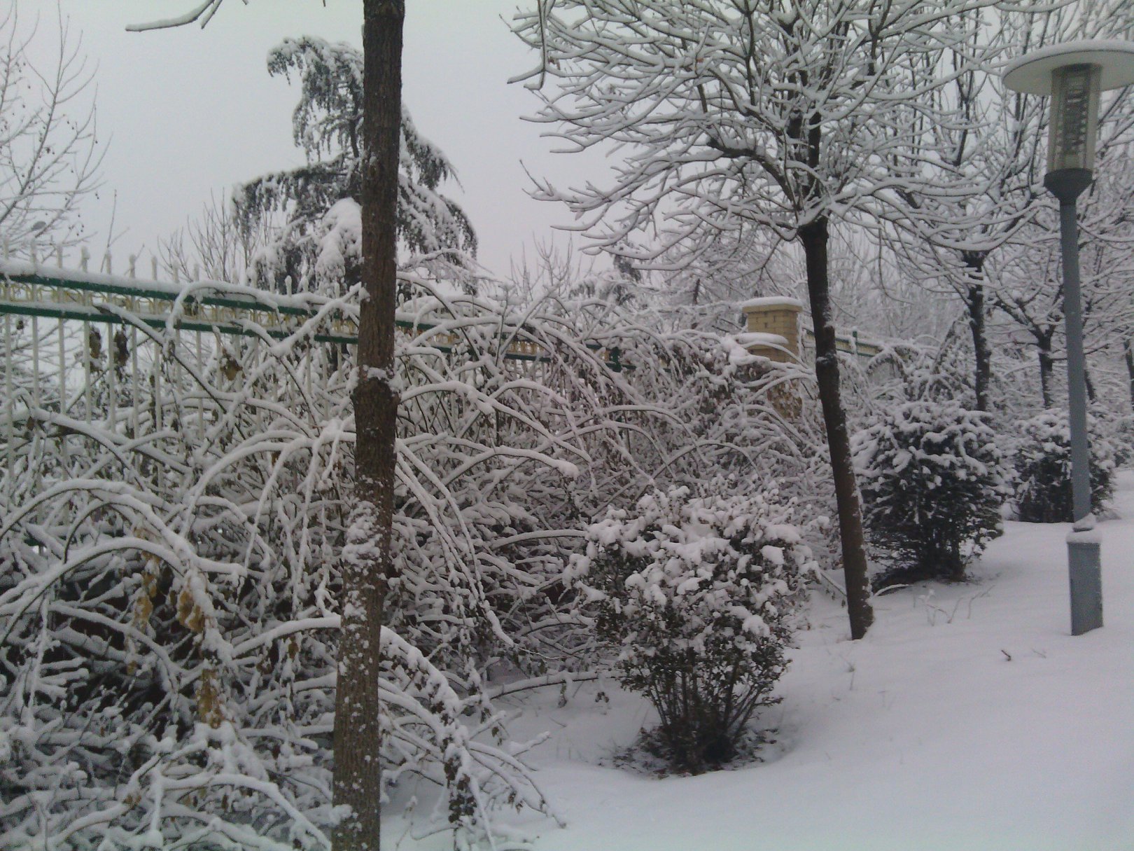 IMG_20130121_074309.jpg
