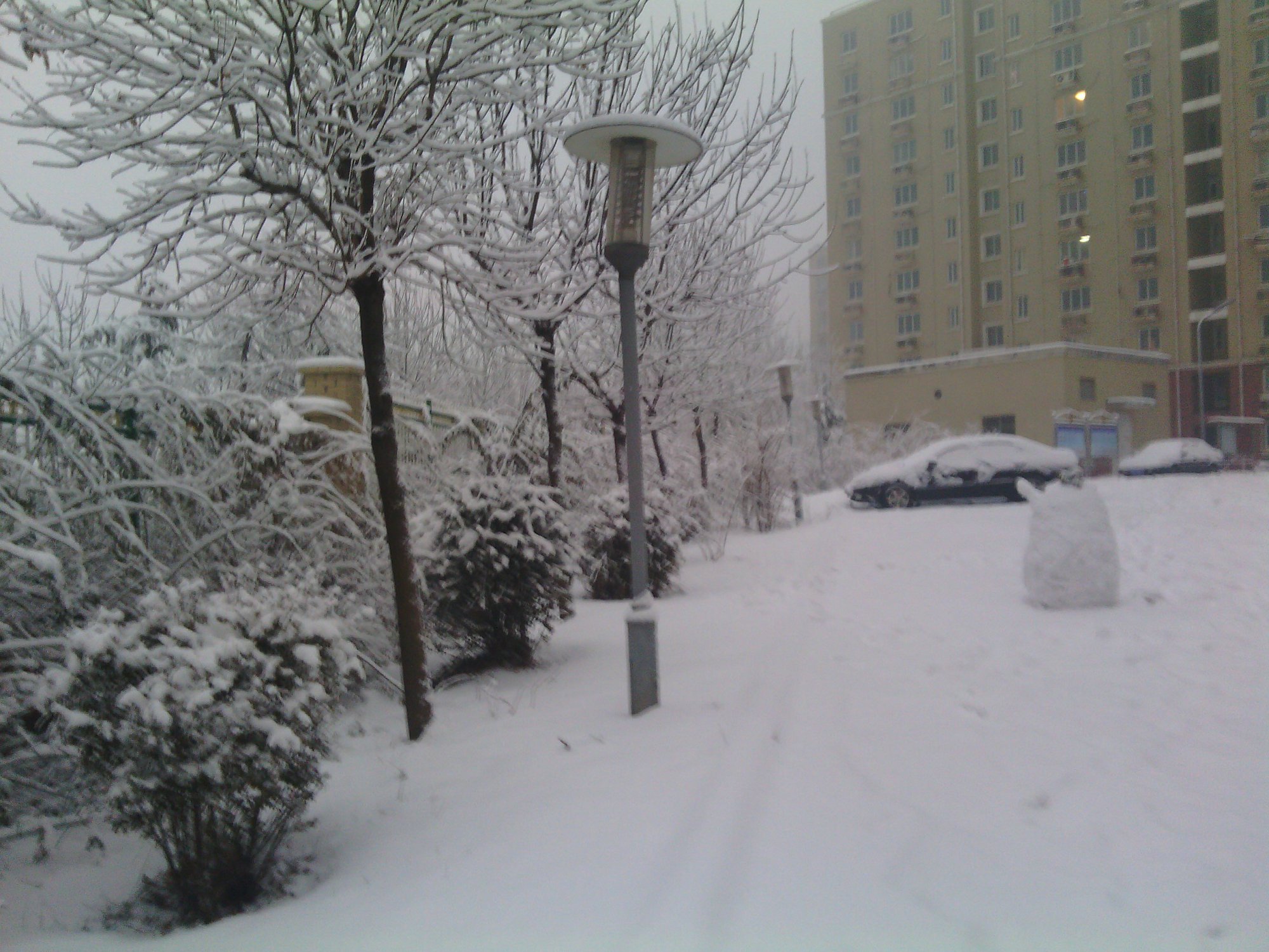 IMG_20130121_074314.jpg