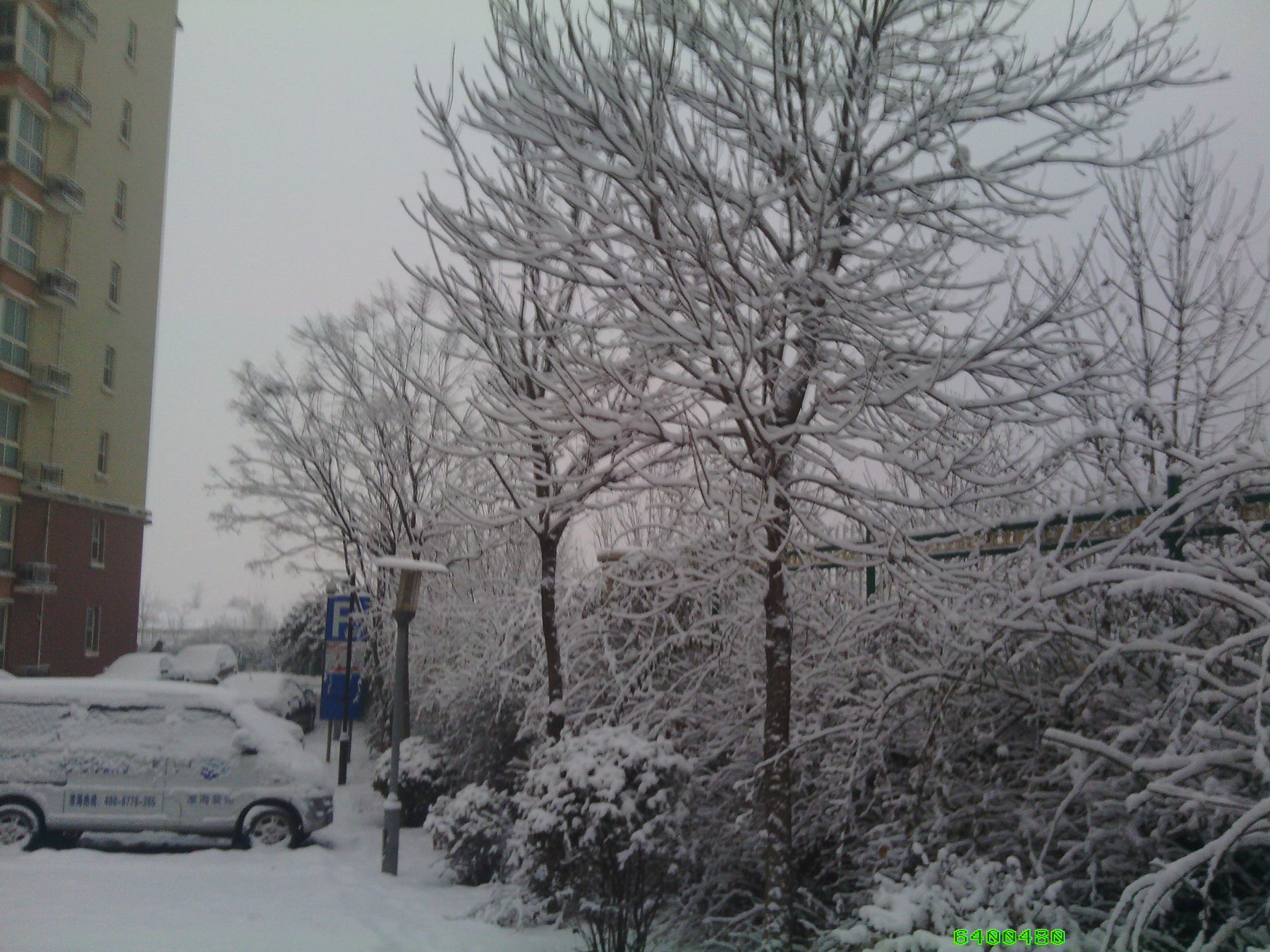IMG_20130121_074326.jpg