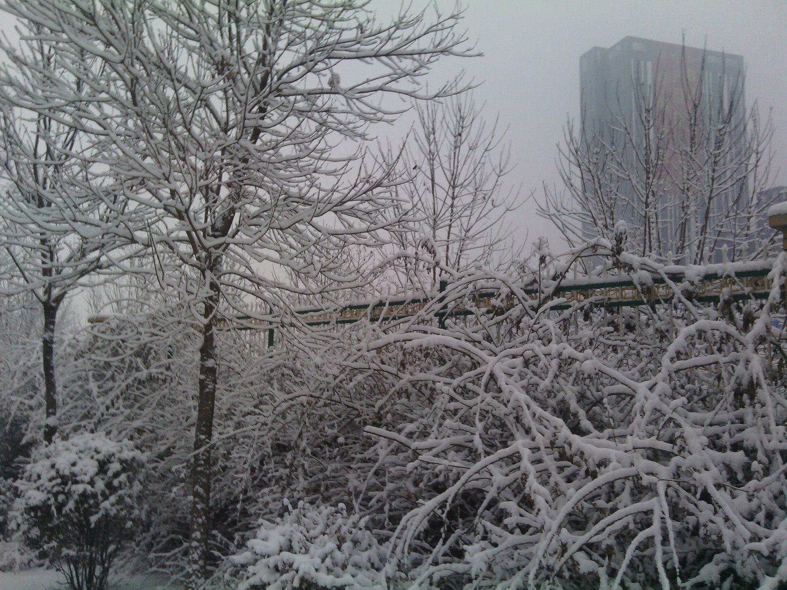IMG_20130121_074331.jpg