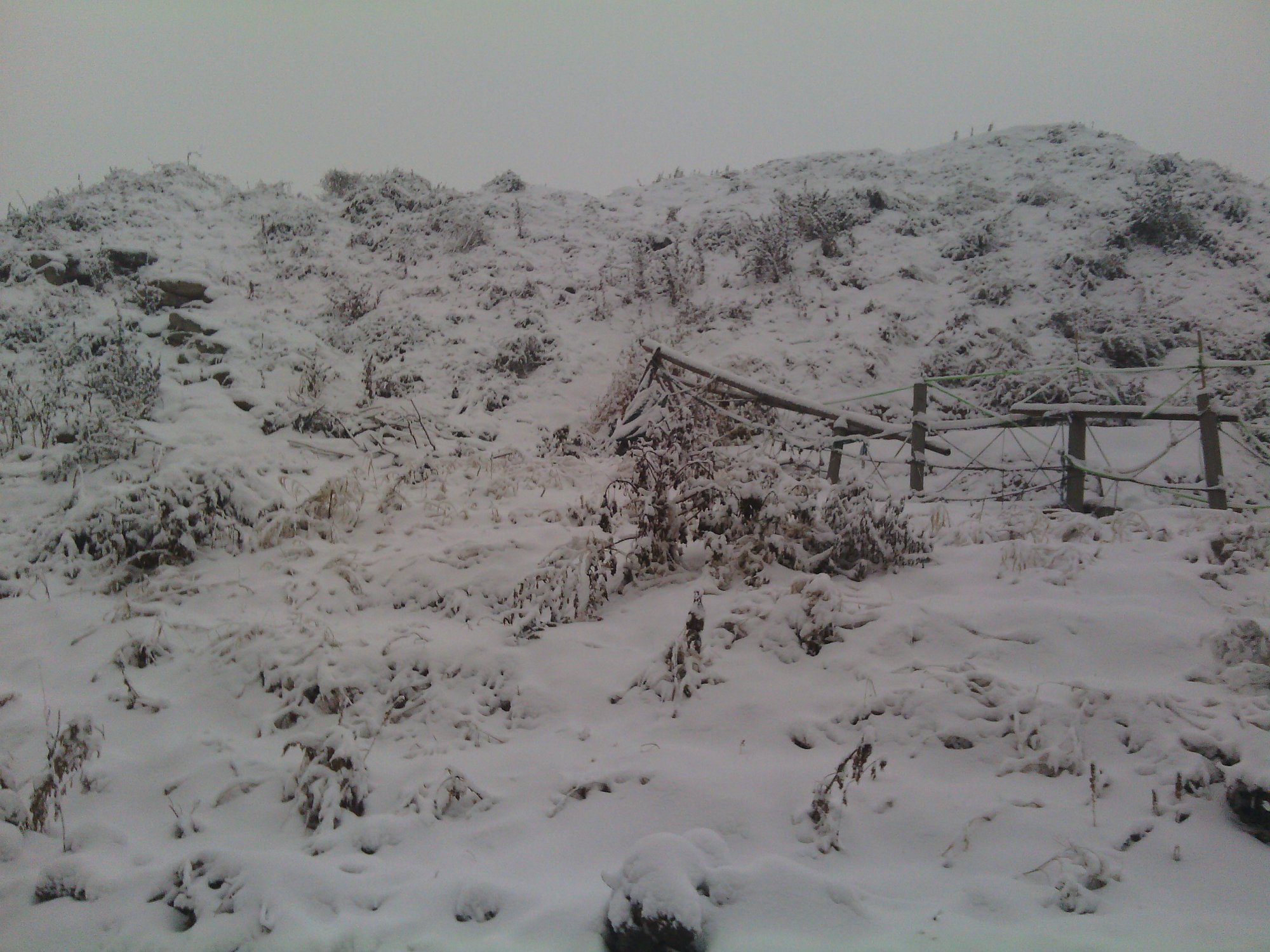IMG_20130121_074555.jpg