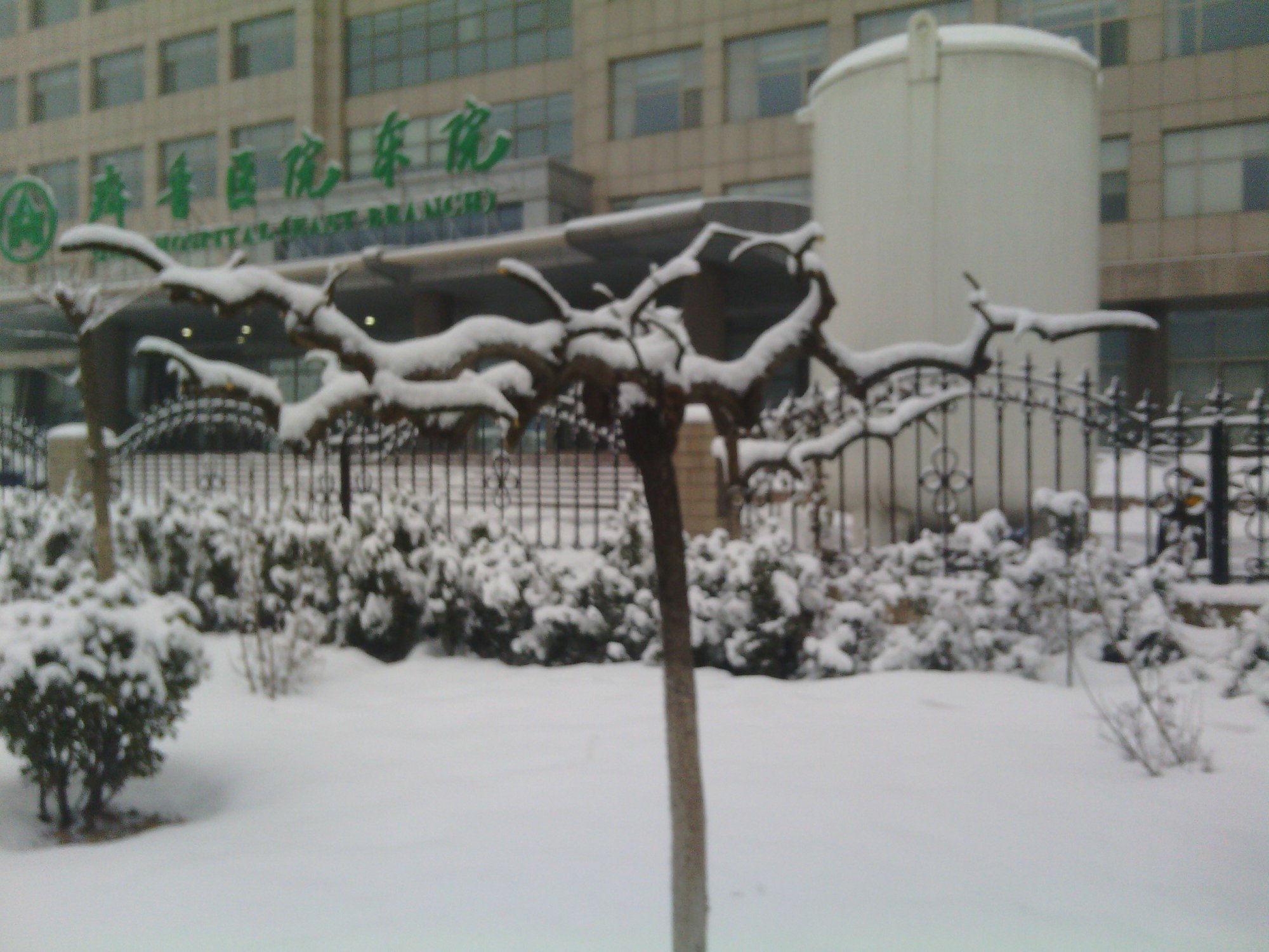 IMG_20130121_075638.jpg