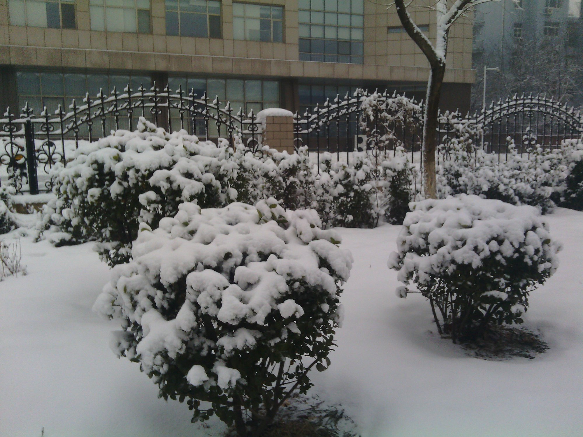 IMG_20130121_075643.jpg