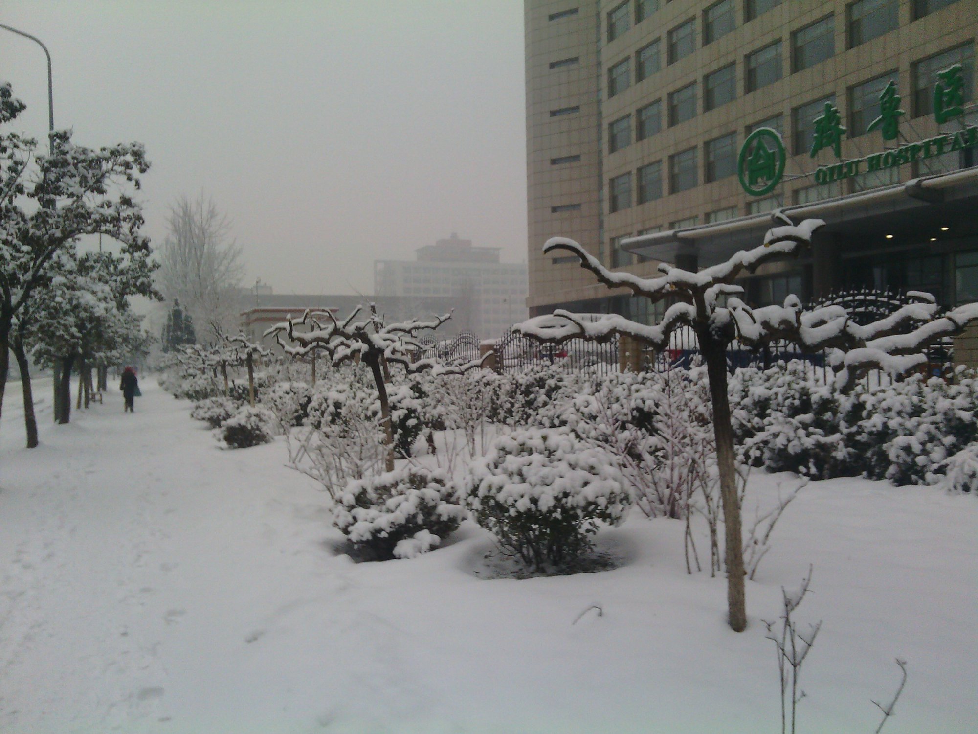 IMG_20130121_075650.jpg
