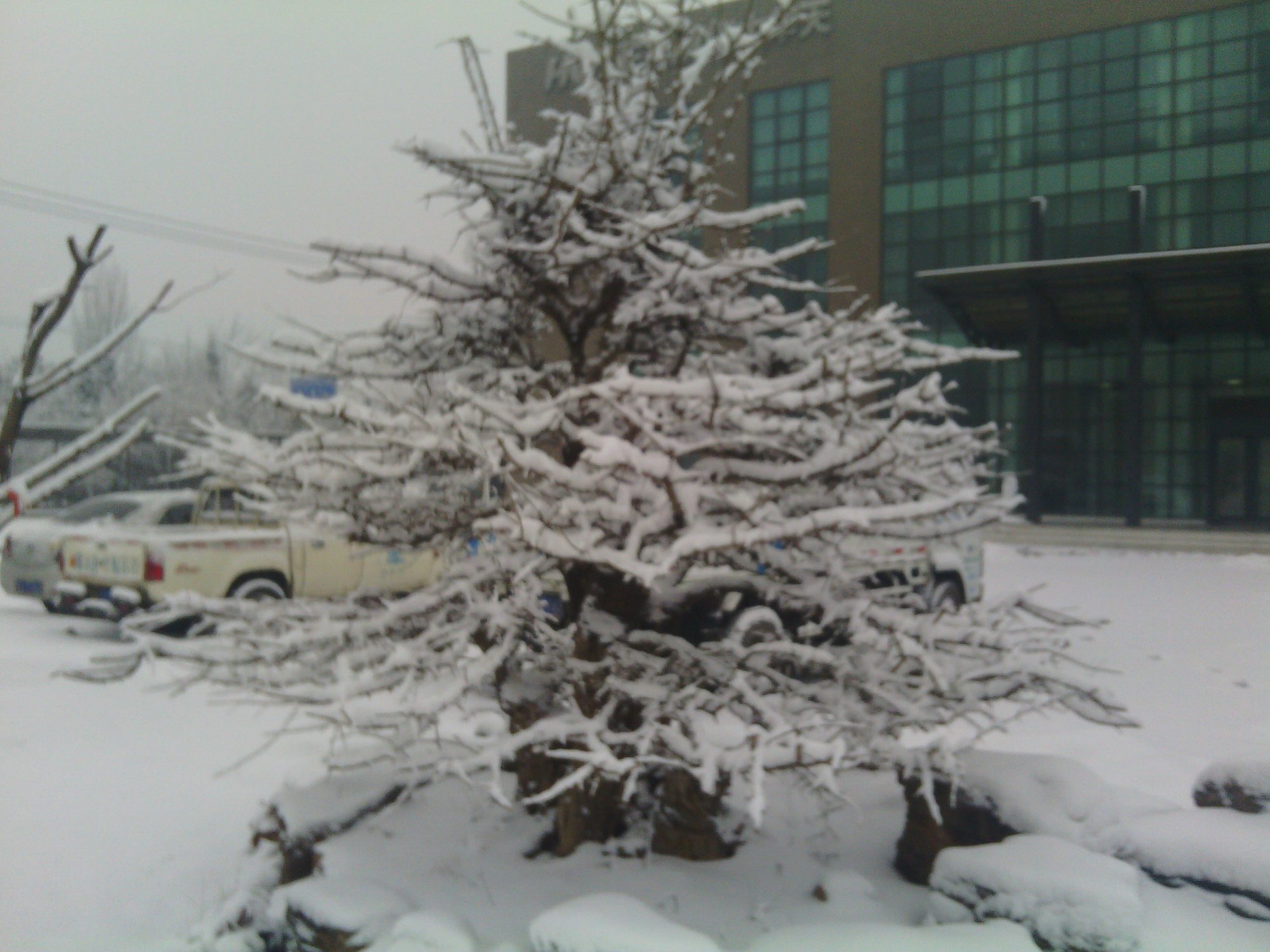 IMG_20130121_080259.jpg