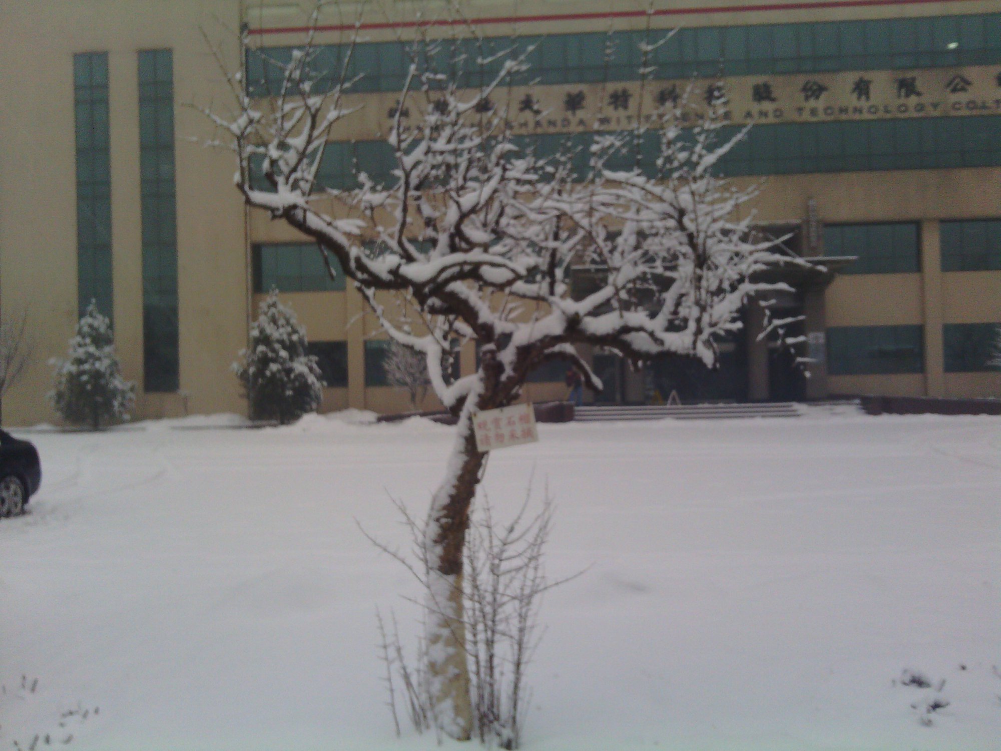 IMG_20130121_080315.jpg