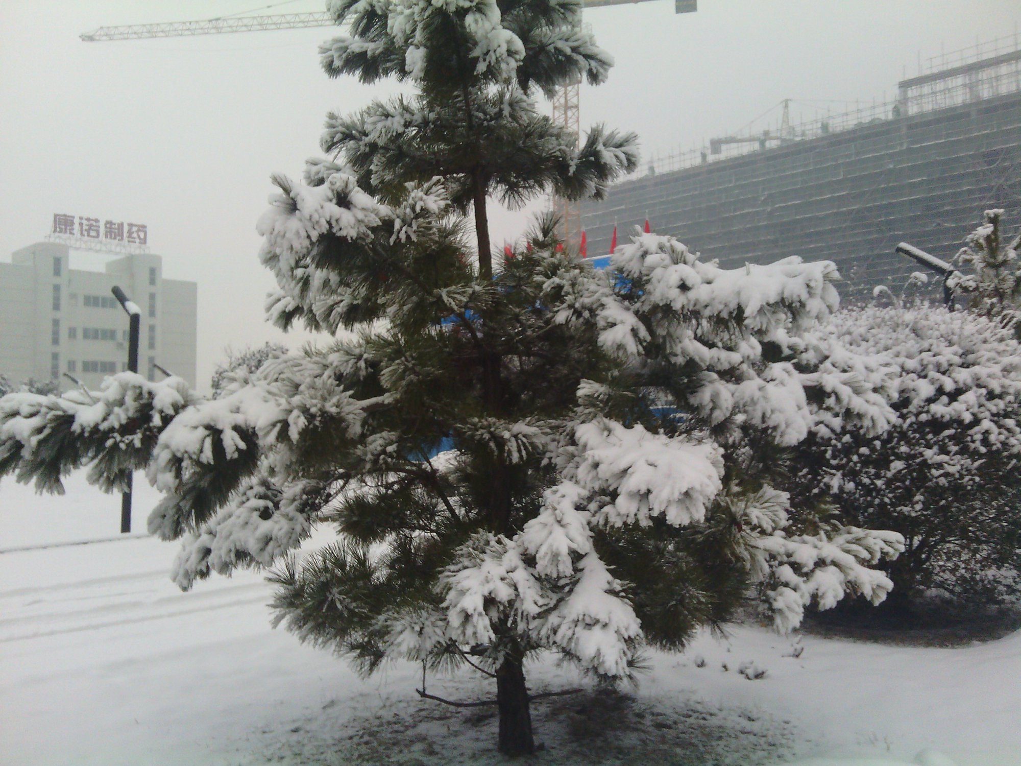 IMG_20130121_080424.jpg