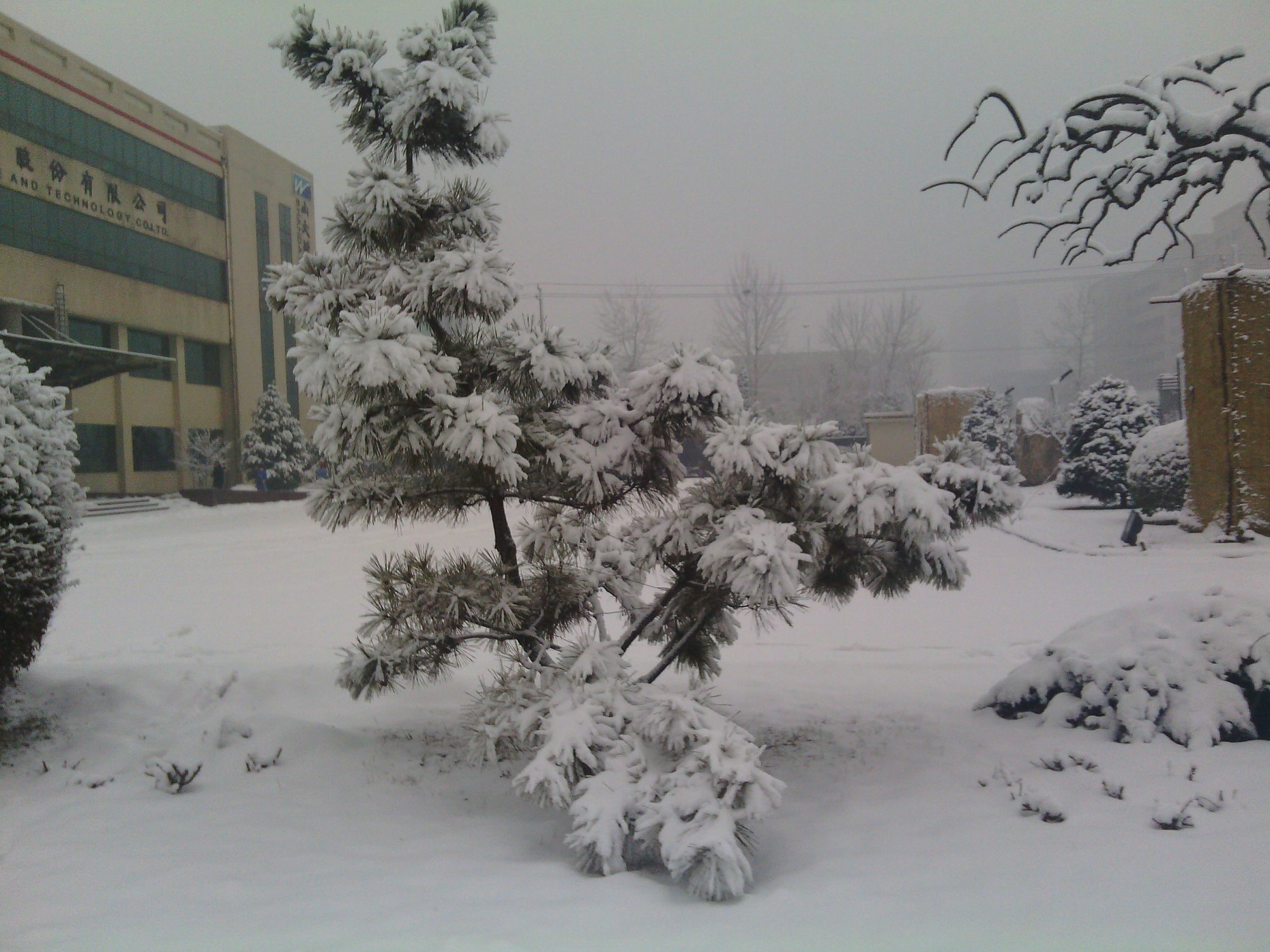 IMG_20130121_080509.jpg