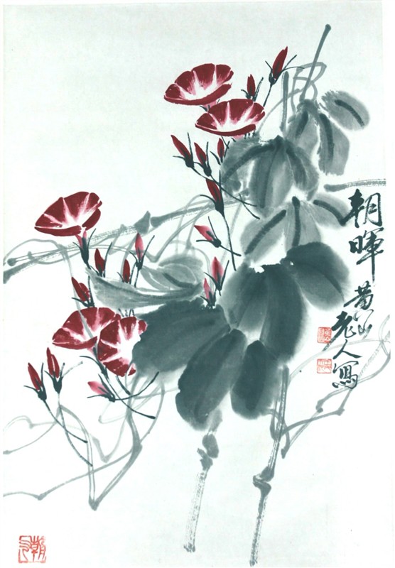 王天池-牵牛花.jpg