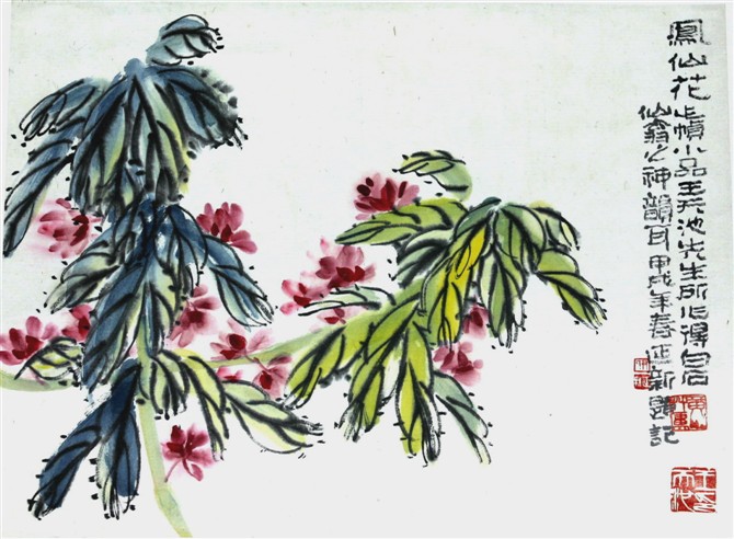 王天池-凤仙花.jpg
