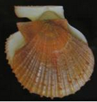 QQ截图20130215162152.png