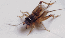 7824d2d76084df4309e948e61b345bb3_s.gif
