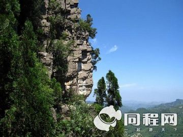 2010101216300492525.jpg