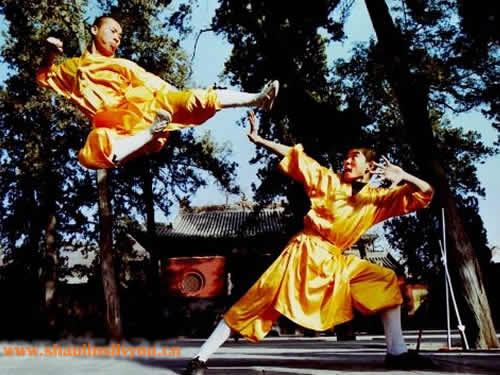 shaolingongfu01.jpg