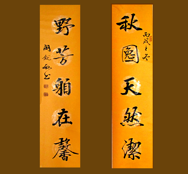 20100409225944438.jpg