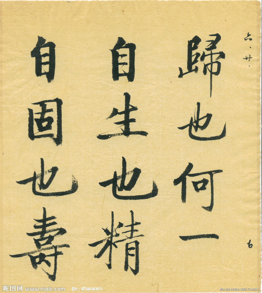 4813989_130517248311_2.jpg
