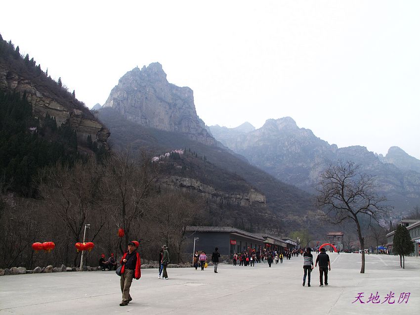 225110m8y48z2qof5g1jb8.jpg