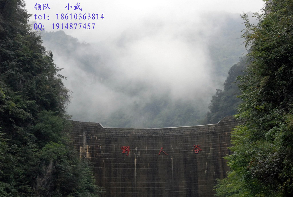 173470644201303171134123970574761535_004.jpg