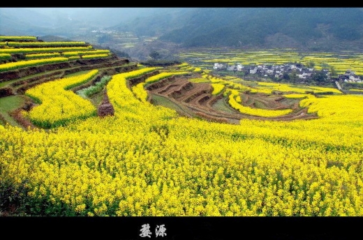 133854l5fu5yf0uyhui1zo.jpg.thumb.jpg
