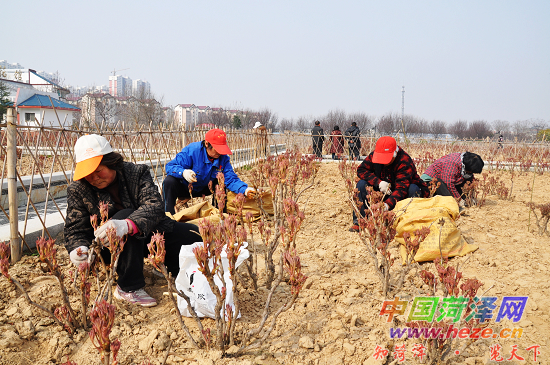 xin_250310161233843133022.jpg