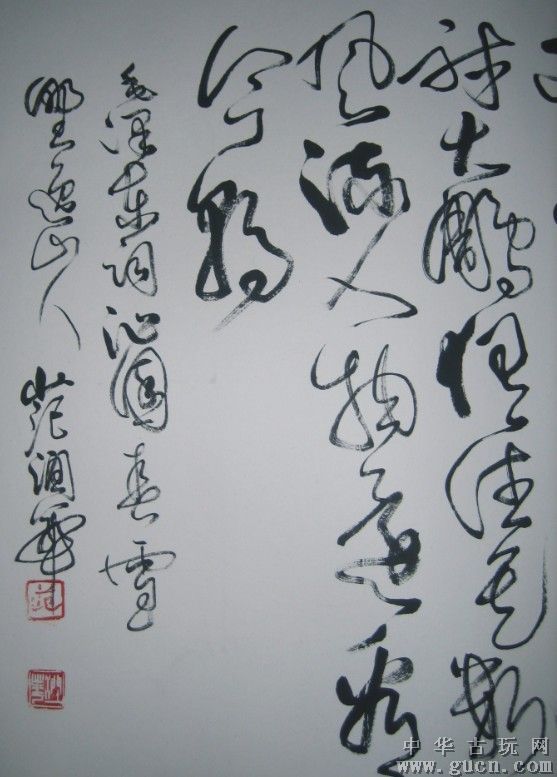 Gucn_2010011172651170843Pic2.jpg