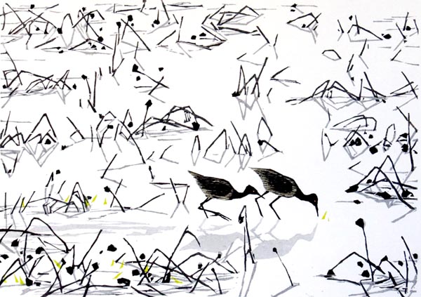 birds1.jpg