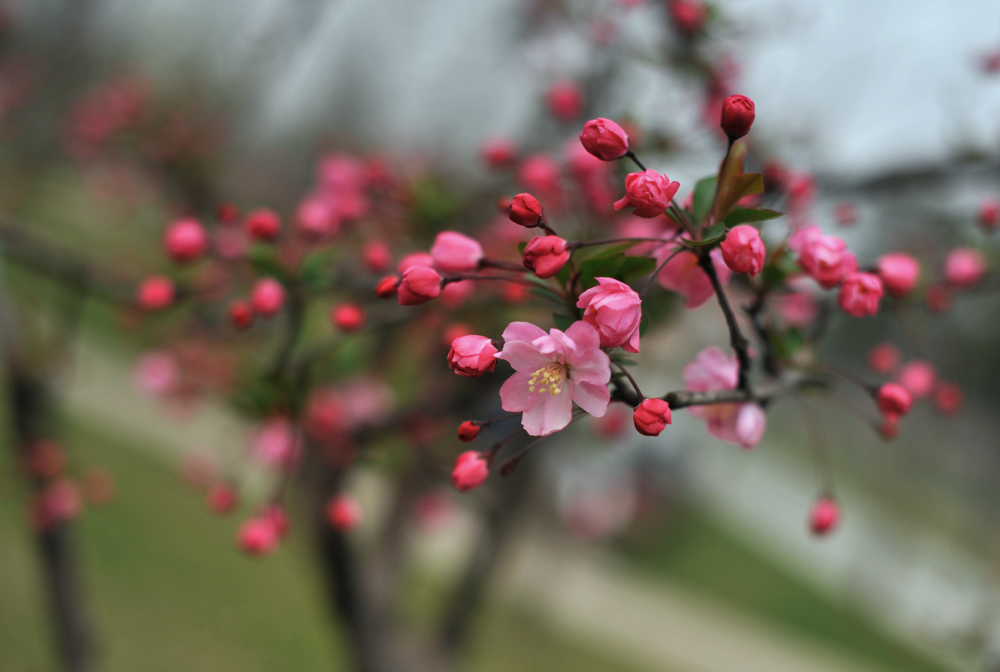 20101230063642761.jpg