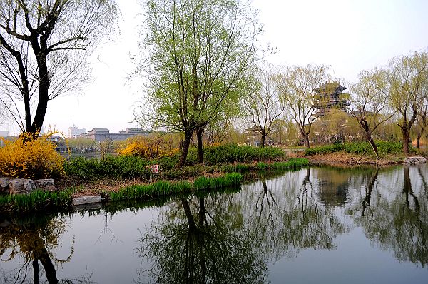 2013年3月23日，山东济南大明湖春意盎然 。 (5).jpg