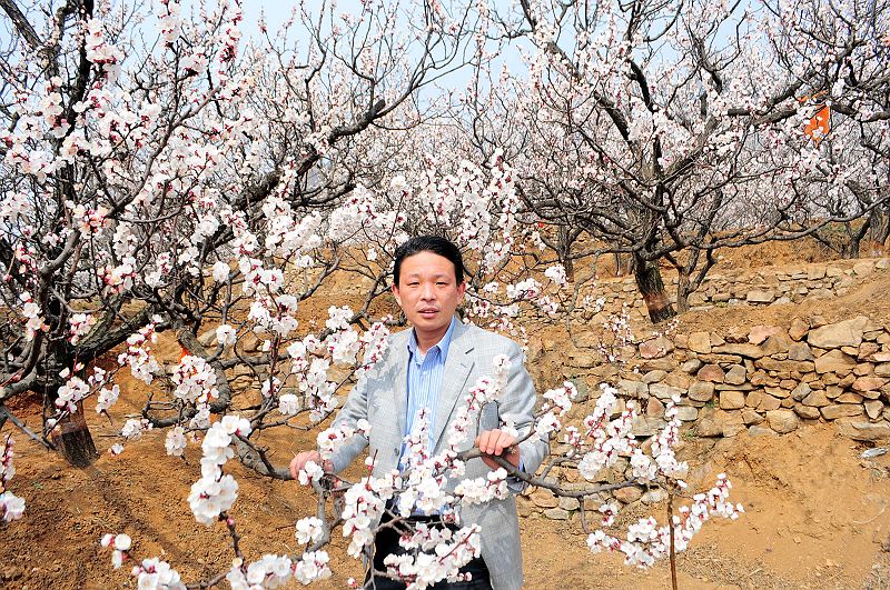 2013年3月23日，山东济南仲宫九重天风景区万亩杏田入画来。 (5).jpg