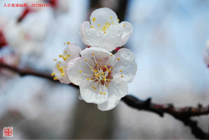 151542c0xarzabw7a6w6jp.jpg