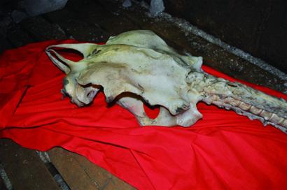 20130327065542920.jpg