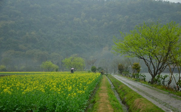 1801462hho7hee8nhu2gzo.jpg
