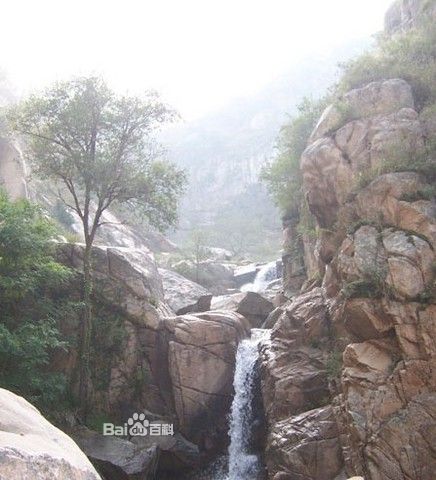 1751141m5cou781lkyxyyo.jpg