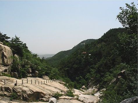 1750533ygvdkvz5crvjkk6.jpg