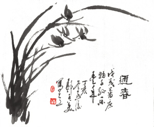 70311199377120916.jpg