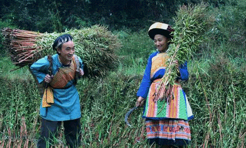 200972945425.gif