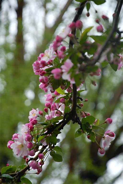 0736216vn3mh33s656nx0h.jpg