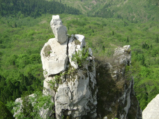 135438iltoorzvizrvnua6.jpg