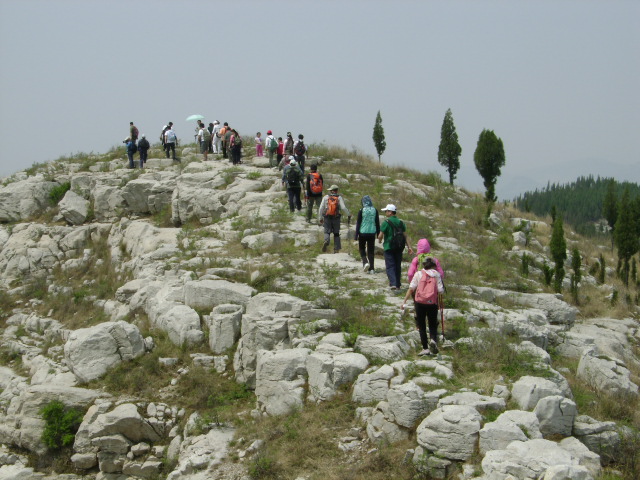 1354375sfjcjjpfjgoj07o.jpg