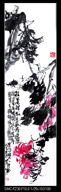 xin_0709061109128902065711.jpg