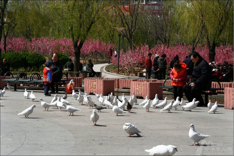 071741dlseobbp9ehebeeu.jpg