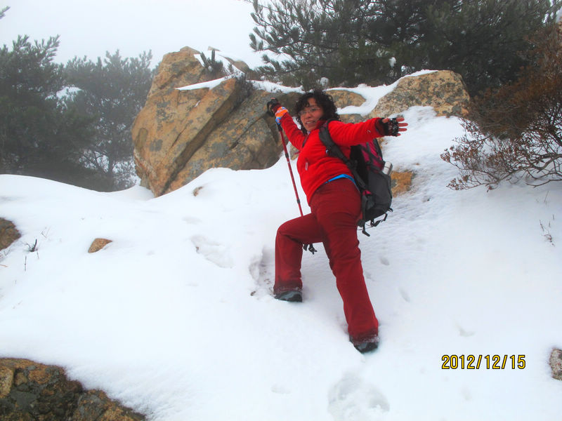 212058scc65c6548yizd9p.jpg