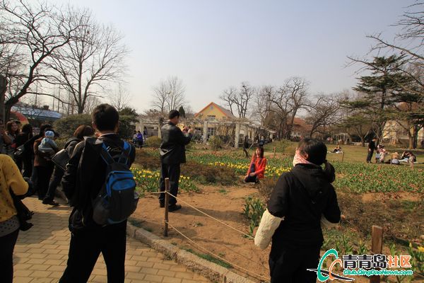 2013041333932.jpg