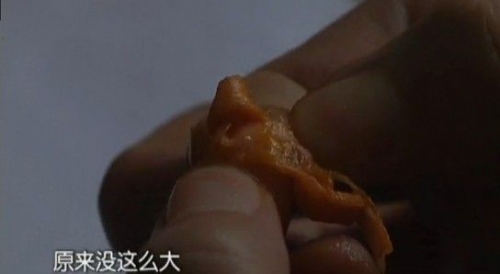 20130411101253530.jpg